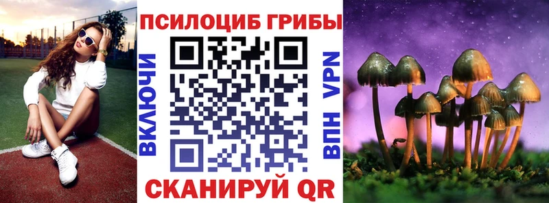купить   Горбатов  Галлюциногенные грибы MAGIC MUSHROOMS 